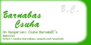 barnabas csuha business card